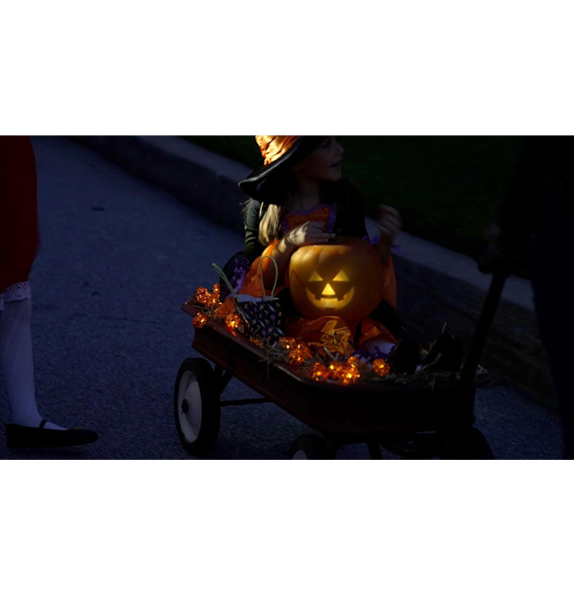 Jabberin' Jack Talking Pumpkin