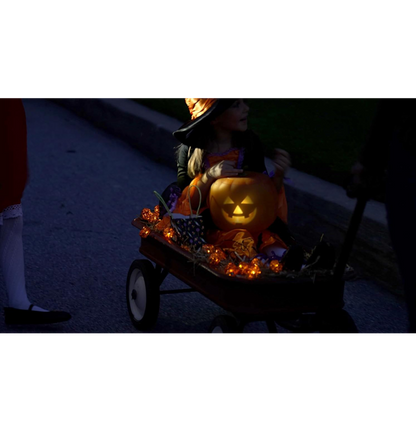 Jabberin' Jack Talking Pumpkin